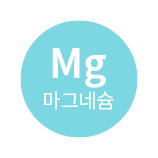 icon_mg